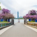 南京旅游 缩略图 2