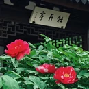 苏州旅游 缩略图 4