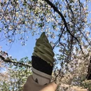无锡旅游 缩略图 7