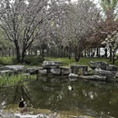 北京旅游 缩略图 7