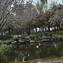 北京旅游 缩略图 5