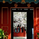 北京旅游 缩略图 5