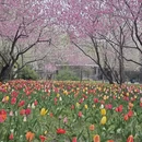 北京旅游 缩略图 3