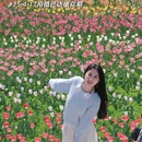 北京旅游 缩略图 7