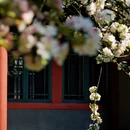 北京旅游 缩略图 6