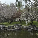 北京旅游 缩略图 4
