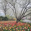 北京旅游 缩略图 4