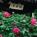 苏州旅游 缩略图 5