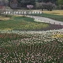 北京旅游 缩略图 5