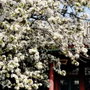北京旅游 缩略图 8