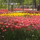 北京旅游 缩略图 8