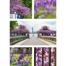 南京旅游 缩略图 1