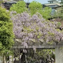 长沙旅游 缩略图 8