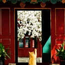 北京旅游 缩略图 1
