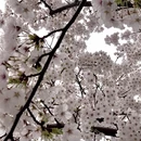北京旅游 缩略图 5