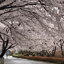 北京旅游 缩略图 1