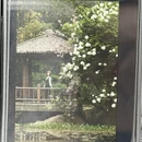 合肥旅游 缩略图 11