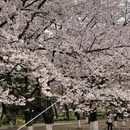北京旅游 缩略图 7