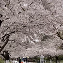 北京旅游 缩略图 9
