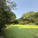 三明旅游 缩略图 4