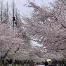 北京旅游 缩略图 10