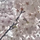 北京旅游 缩略图 4