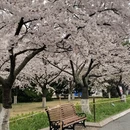 北京旅游 缩略图 8