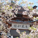 无锡旅游 缩略图 4