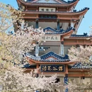 无锡旅游 缩略图 1