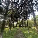 三明旅游 缩略图 10
