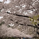 北京旅游 缩略图 11