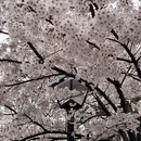 北京旅游 缩略图 12