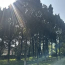 三明旅游 缩略图 9