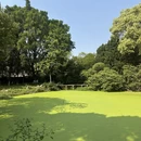 三明旅游 缩略图 1