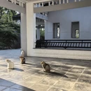 无锡旅游 缩略图 14