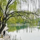 石家庄旅游 缩略图 2