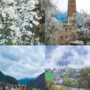 阿坝旅游 缩略图 1