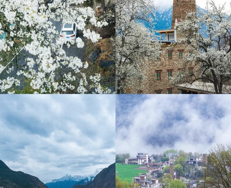 阿坝旅游 1