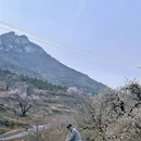 邢台旅游 缩略图 13
