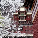阿坝旅游 缩略图 5