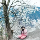 阿坝旅游 缩略图 15