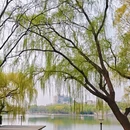 石家庄旅游 缩略图 4