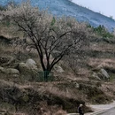 邢台旅游 缩略图 14