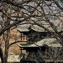 邢台旅游 缩略图 16