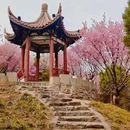 石家庄旅游 缩略图 7