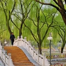 石家庄旅游 缩略图 8