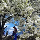 阿坝旅游 缩略图 3