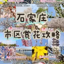 石家庄旅游 缩略图 1