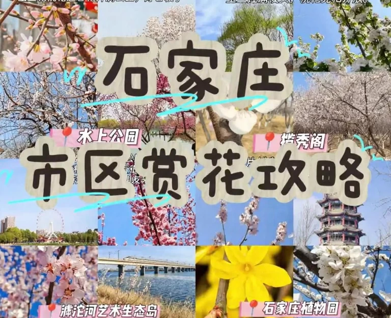 石家庄旅游 1