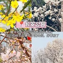 石家庄旅游 缩略图 2